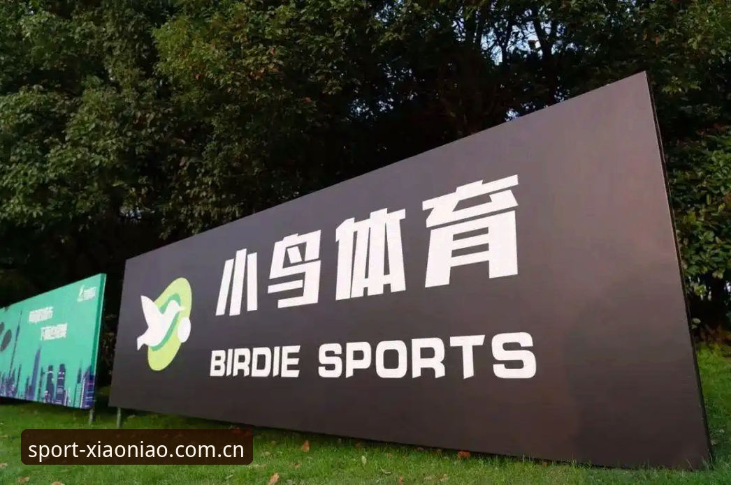 小鸟体育安全吗安装失败最新动态：深度解析用户反馈与解决方案，揭秘平台独家资讯